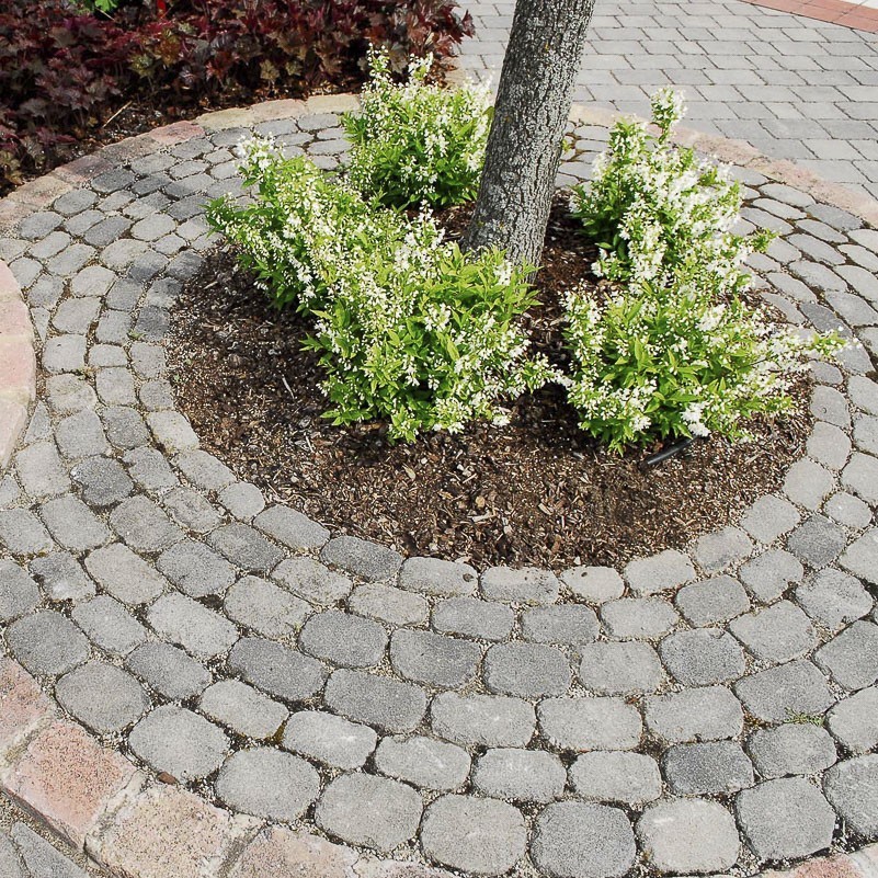 ARENA® ANTIK - Image 8