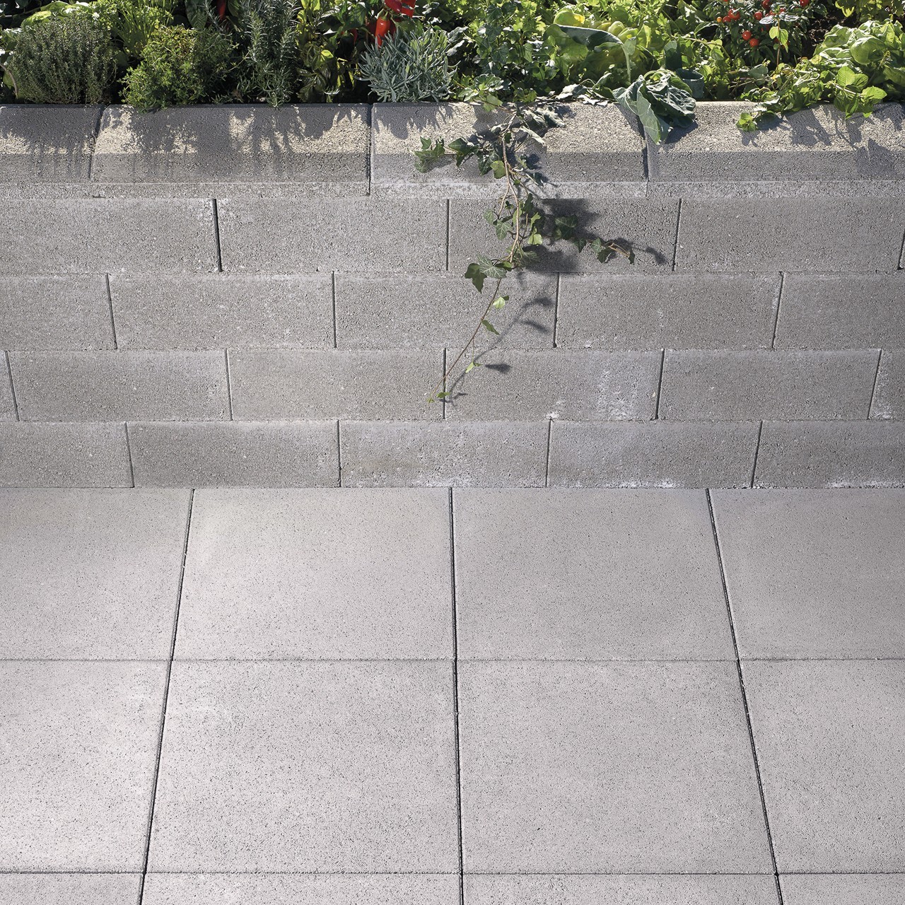 CITYLINE - Image 7