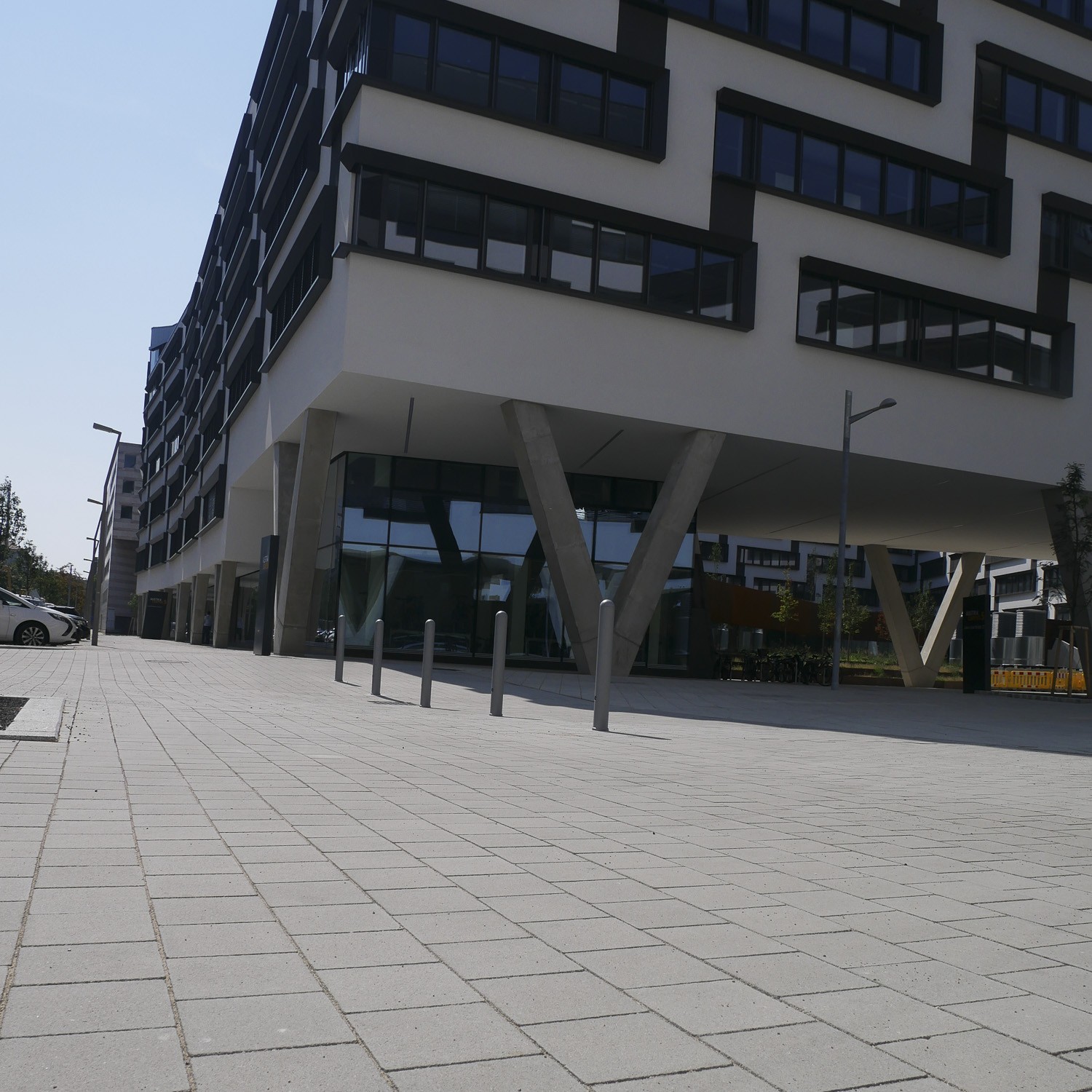 DELINA® 10 - Image 2