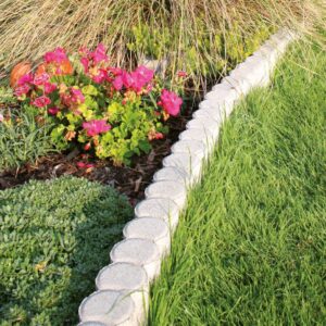 FLEXI PALISADE
