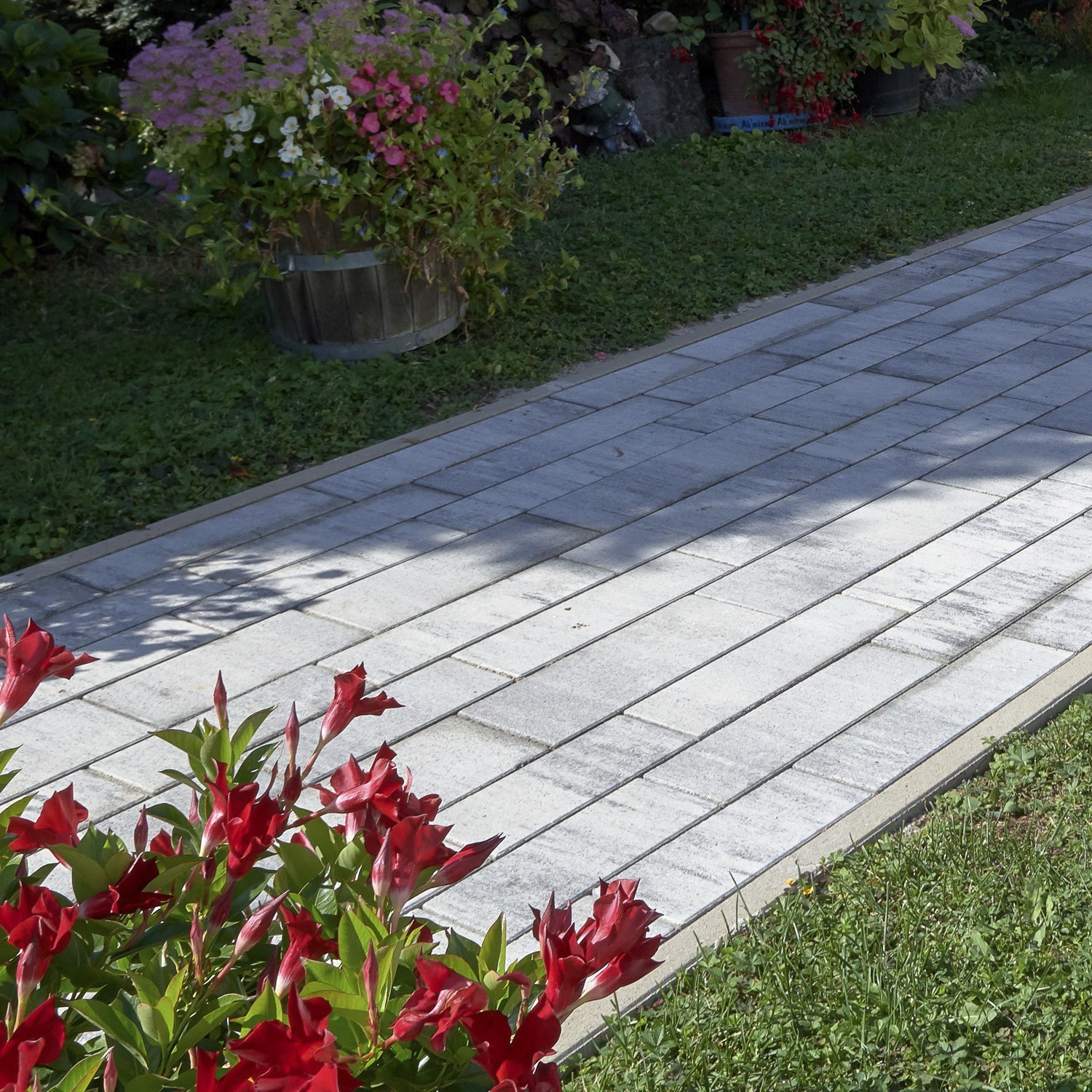 LEO® COLORI 8 - Image 6