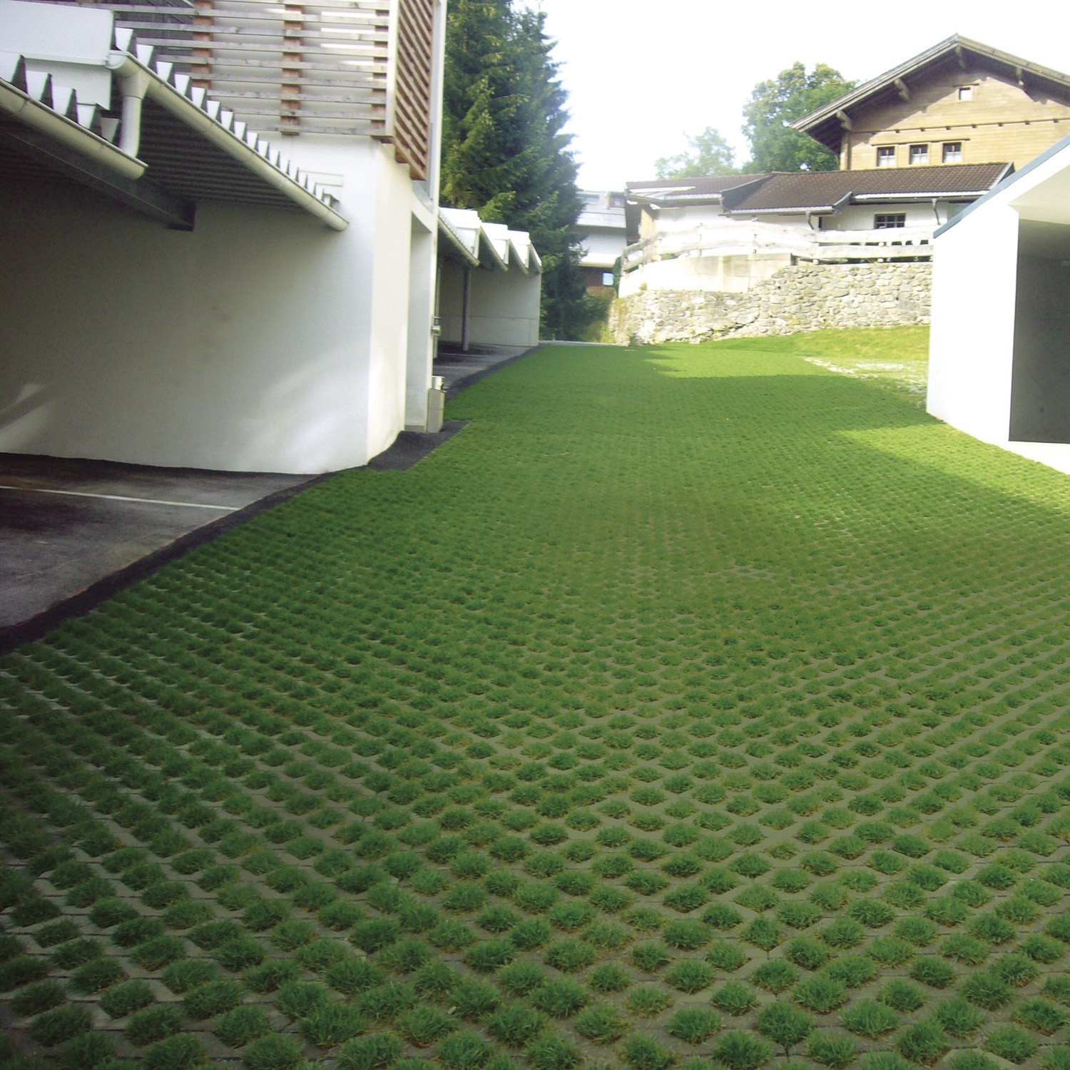 RINAFIX - Image 4