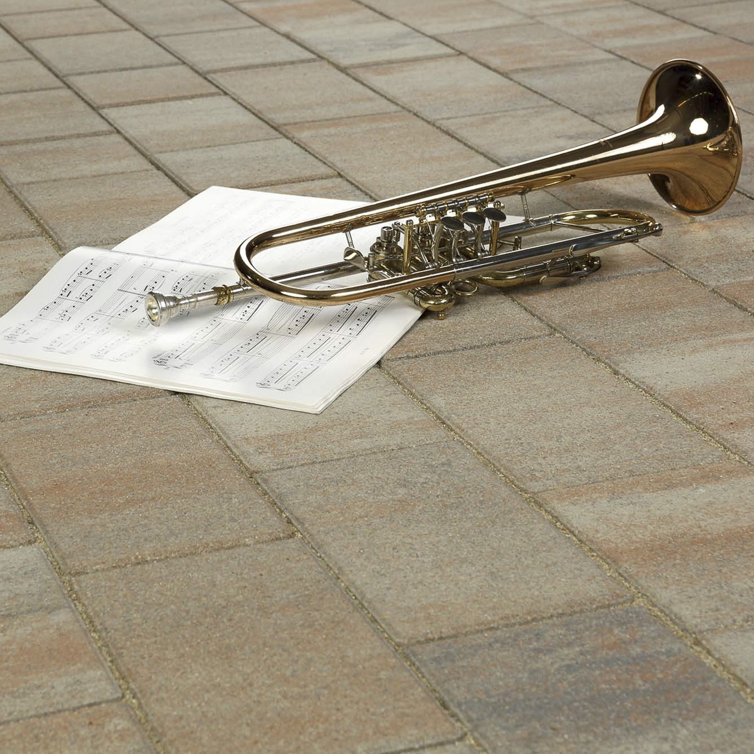 TANGO® 6 - Image 9