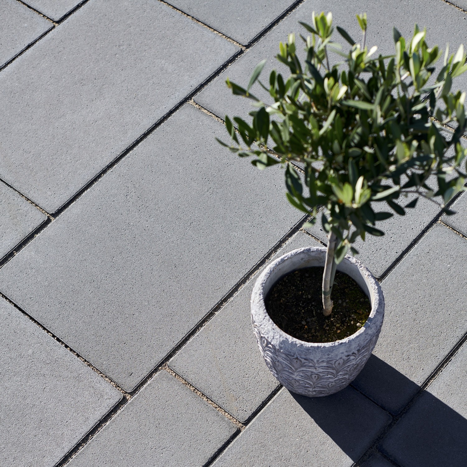 TEGULA® 16 MIT FASE