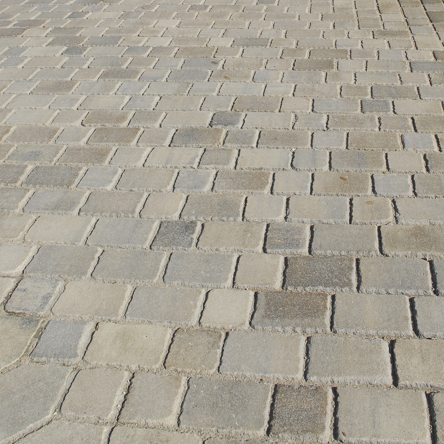 TEGULA® CLASSIC - Image 2
