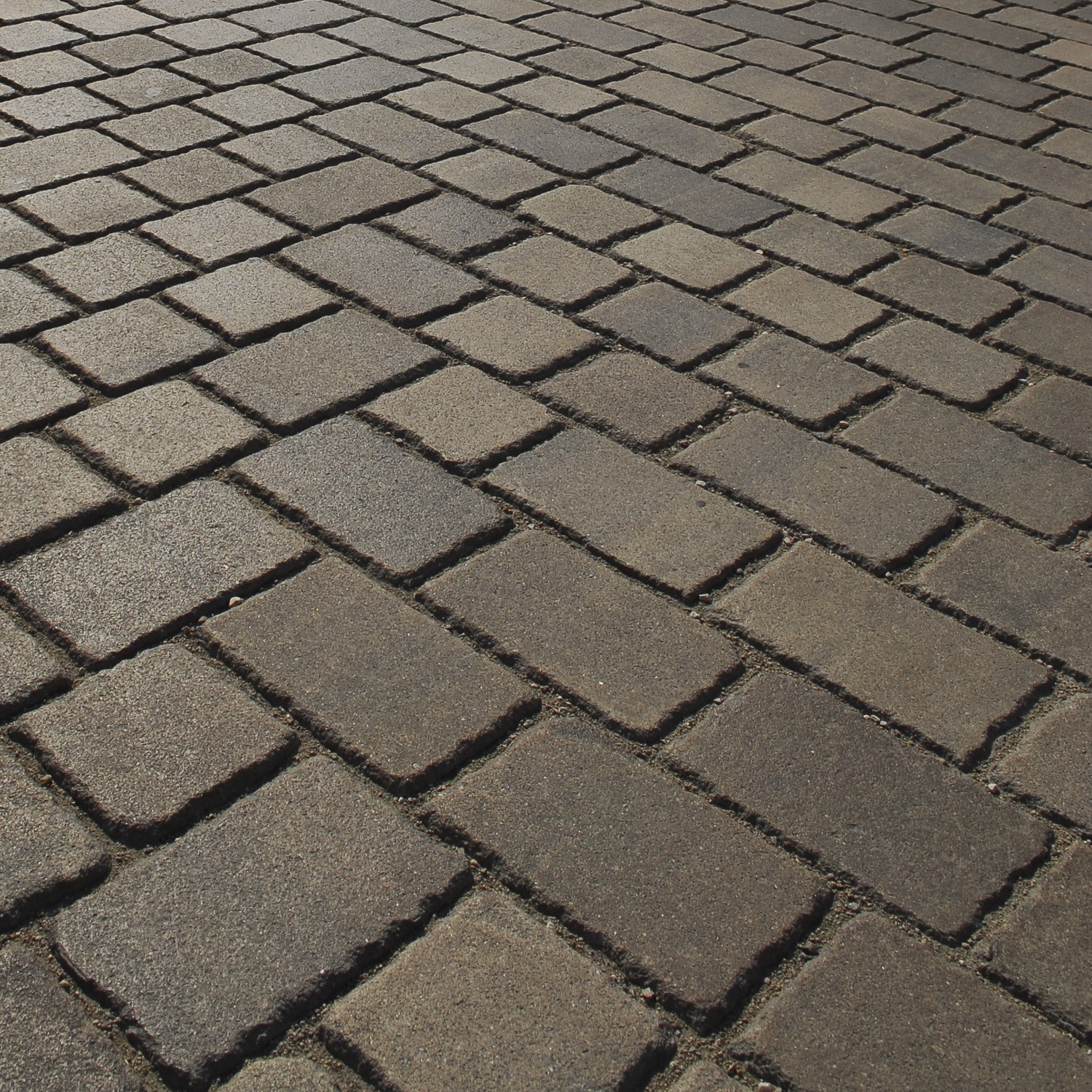 TEGULA® CLASSIC - Image 3