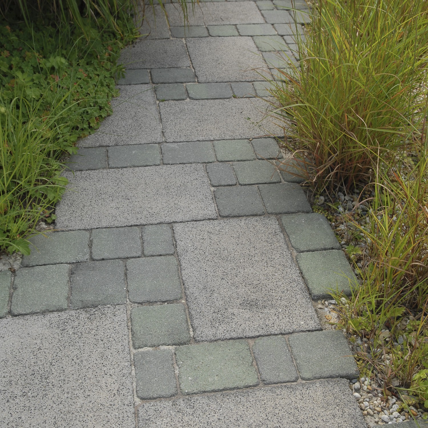 TEGULA® FEINGESTOCKT - Image 11