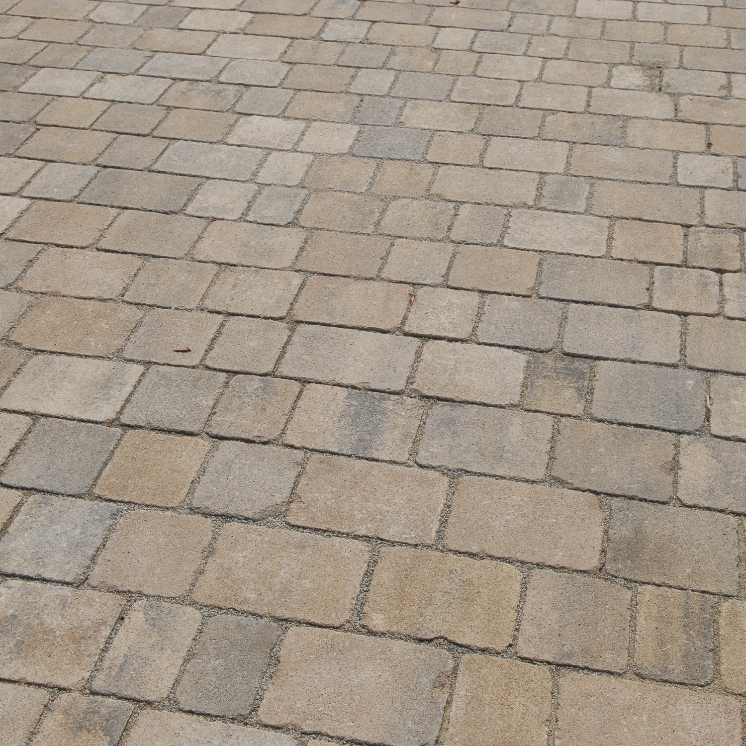 VIA CAPO® ANTIK - Image 6